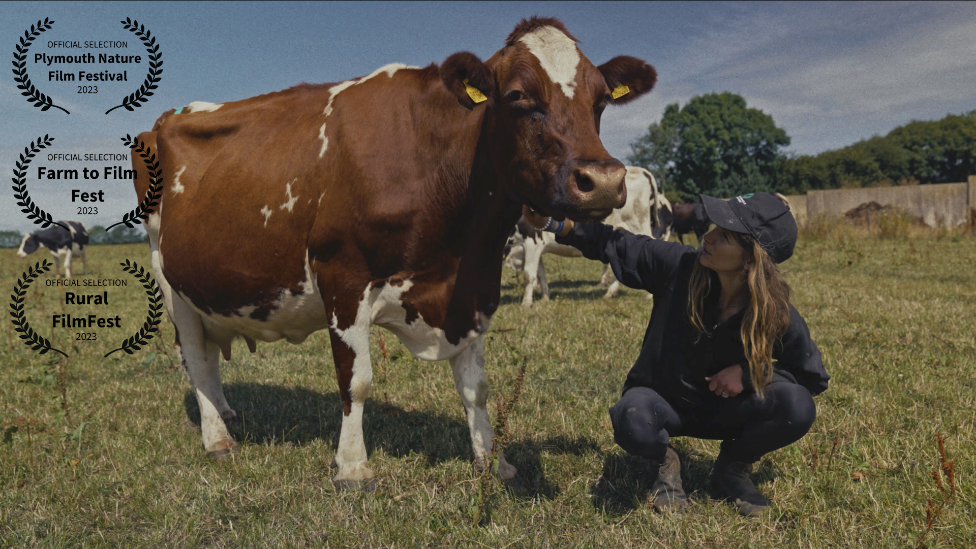 The Dairy Farmer - Moving Image - Chris Baker - Photographer